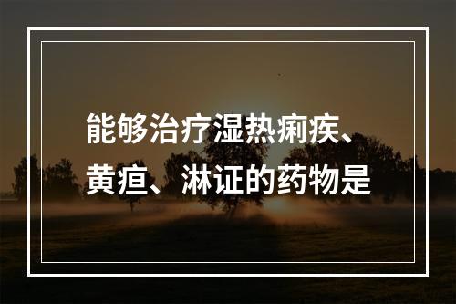 能够治疗湿热痢疾、黄疸、淋证的药物是