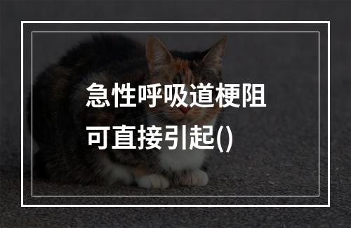 急性呼吸道梗阻可直接引起()