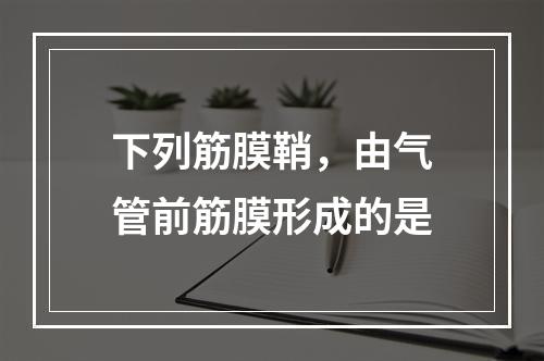 下列筋膜鞘，由气管前筋膜形成的是