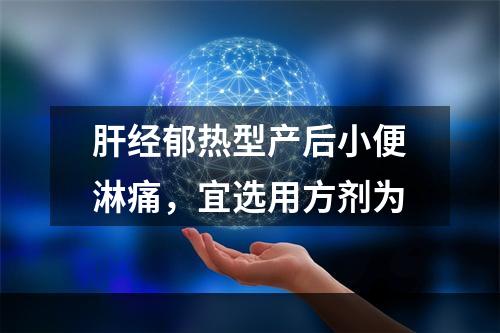 肝经郁热型产后小便淋痛，宜选用方剂为