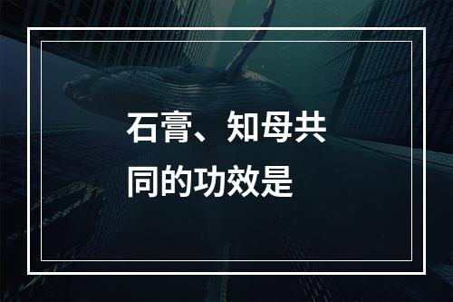 石膏、知母共同的功效是