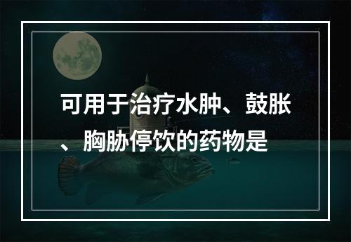 可用于治疗水肿、鼓胀、胸胁停饮的药物是