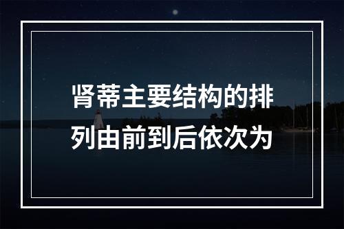 肾蒂主要结构的排列由前到后依次为