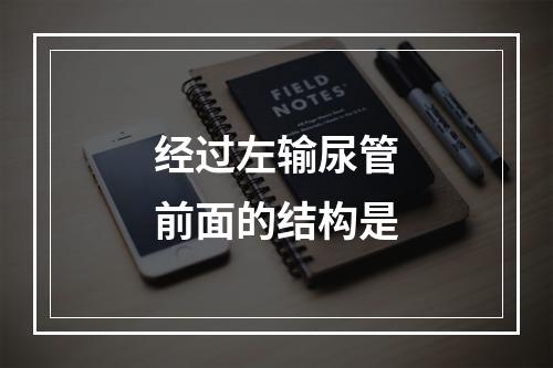 经过左输尿管前面的结构是