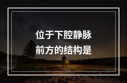 位于下腔静脉前方的结构是