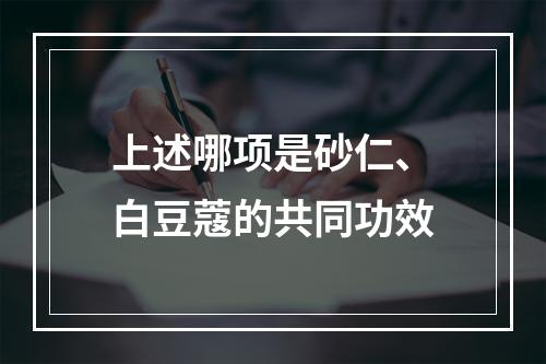 上述哪项是砂仁、白豆蔻的共同功效