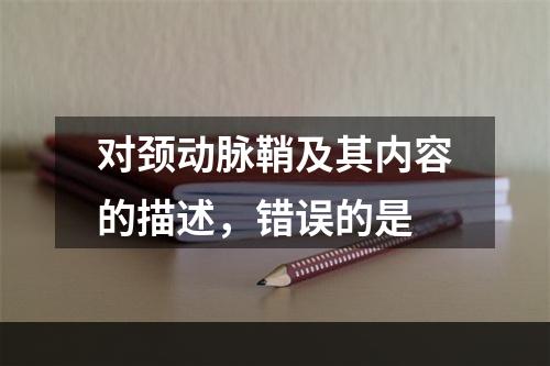 对颈动脉鞘及其内容的描述，错误的是