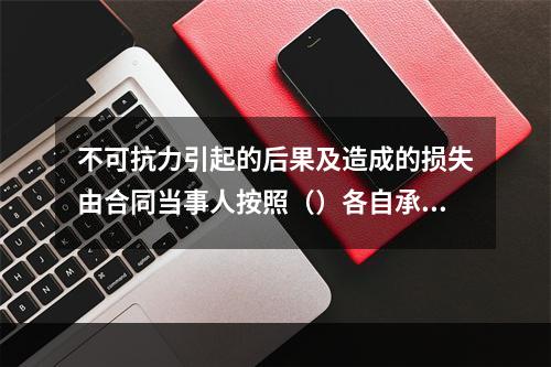 不可抗力引起的后果及造成的损失由合同当事人按照（）各自承担。