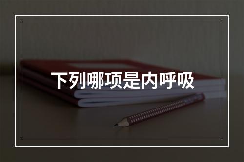 下列哪项是内呼吸