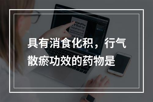 具有消食化积，行气散瘀功效的药物是