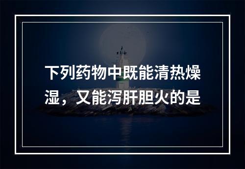 下列药物中既能清热燥湿，又能泻肝胆火的是