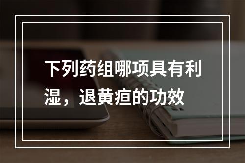 下列药组哪项具有利湿，退黄疸的功效