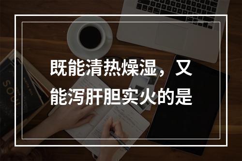 既能清热燥湿，又能泻肝胆实火的是