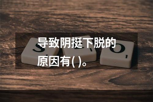 导致阴挺下脱的原因有( )。