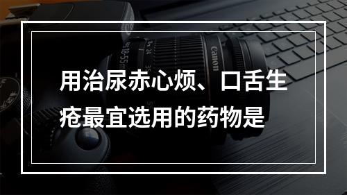 用治尿赤心烦、口舌生疮最宜选用的药物是