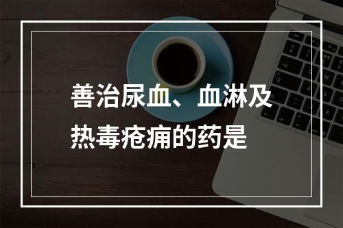 善治尿血、血淋及热毒疮痈的药是