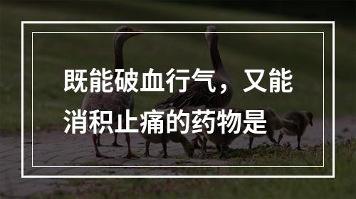 既能破血行气，又能消积止痛的药物是