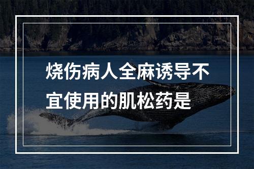 烧伤病人全麻诱导不宜使用的肌松药是