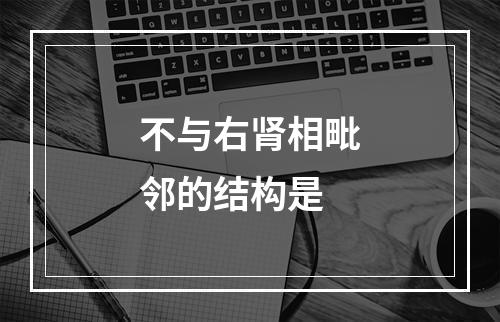 不与右肾相毗邻的结构是