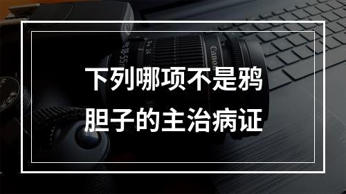 下列哪项不是鸦胆子的主治病证