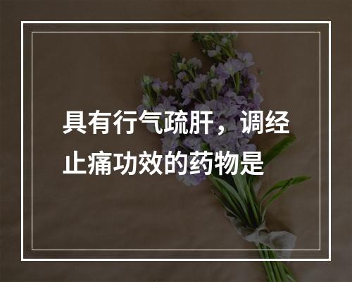 具有行气疏肝，调经止痛功效的药物是