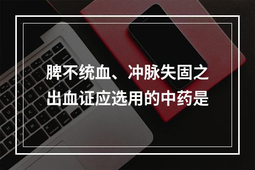 脾不统血、冲脉失固之出血证应选用的中药是