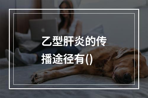 乙型肝炎的传播途径有()