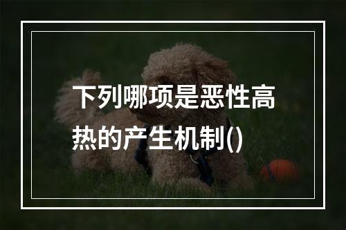 下列哪项是恶性高热的产生机制()