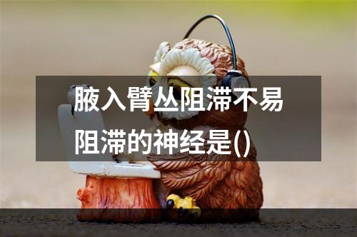 腋入臂丛阻滞不易阻滞的神经是()