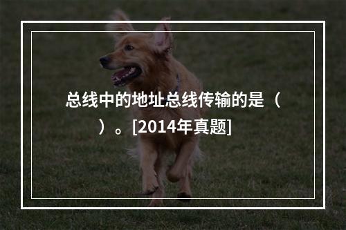 总线中的地址总线传输的是（　　）。[2014年真题]