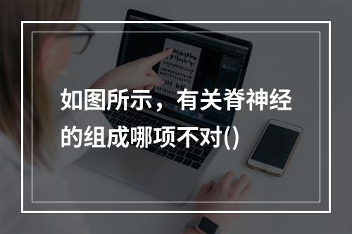 如图所示，有关脊神经的组成哪项不对()