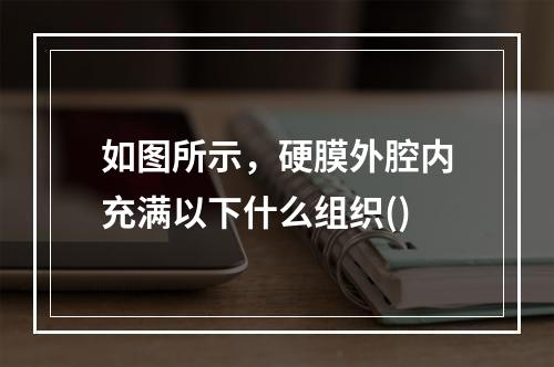 如图所示，硬膜外腔内充满以下什么组织()