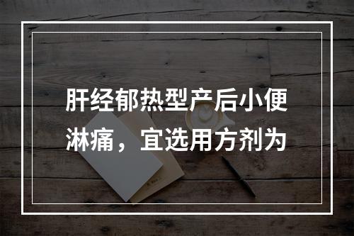 肝经郁热型产后小便淋痛，宜选用方剂为