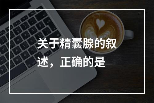 关于精囊腺的叙述，正确的是