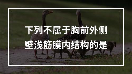 下列不属于胸前外侧壁浅筋膜内结构的是