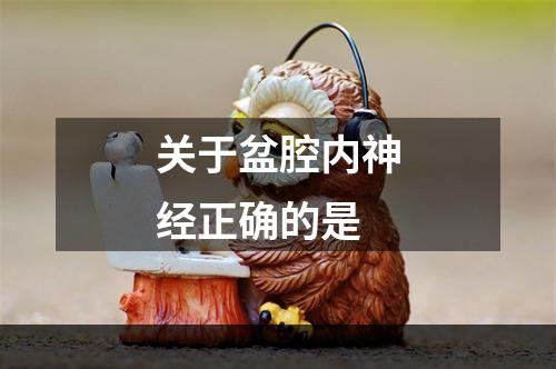 关于盆腔内神经正确的是