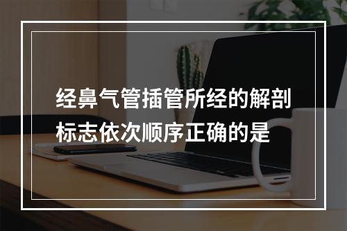 经鼻气管插管所经的解剖标志依次顺序正确的是