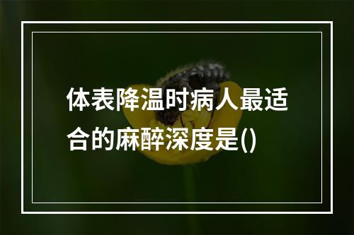 体表降温时病人最适合的麻醉深度是()