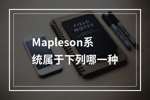 Mapleson系统属于下列哪一种