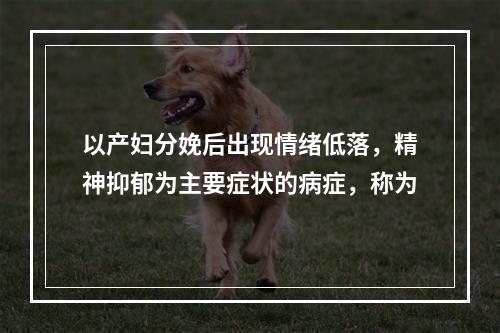 以产妇分娩后出现情绪低落，精神抑郁为主要症状的病症，称为