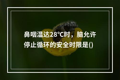 鼻咽温达28℃时，脑允许停止循环的安全时限是()