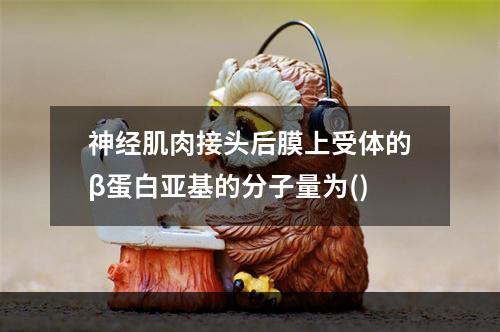 神经肌肉接头后膜上受体的β蛋白亚基的分子量为()