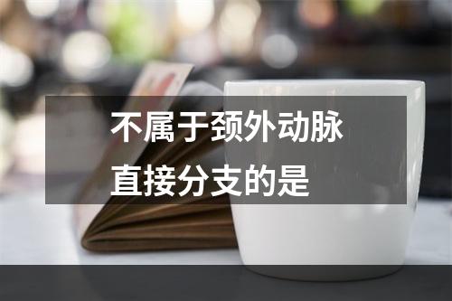 不属于颈外动脉直接分支的是