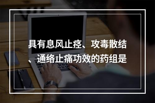 具有息风止痉、攻毒散结、通络止痛功效的药组是