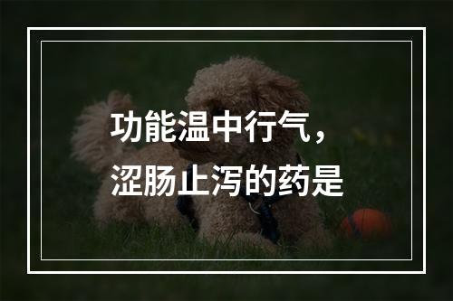 功能温中行气，涩肠止泻的药是