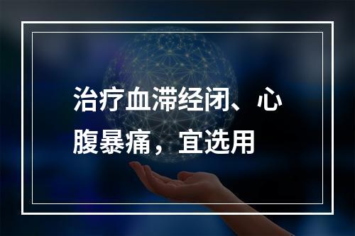 治疗血滞经闭、心腹暴痛，宜选用