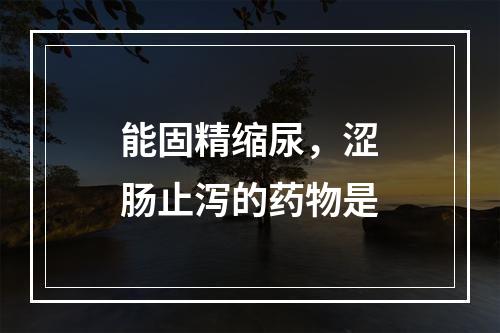 能固精缩尿，涩肠止泻的药物是