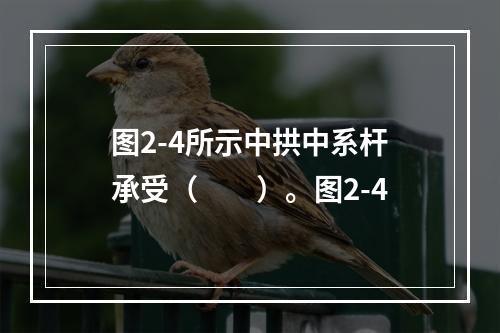 图2-4所示中拱中系杆承受（　　）。图2-4