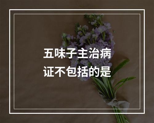 五味子主治病证不包括的是