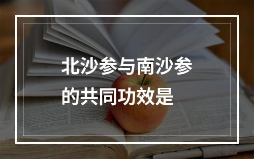 北沙参与南沙参的共同功效是